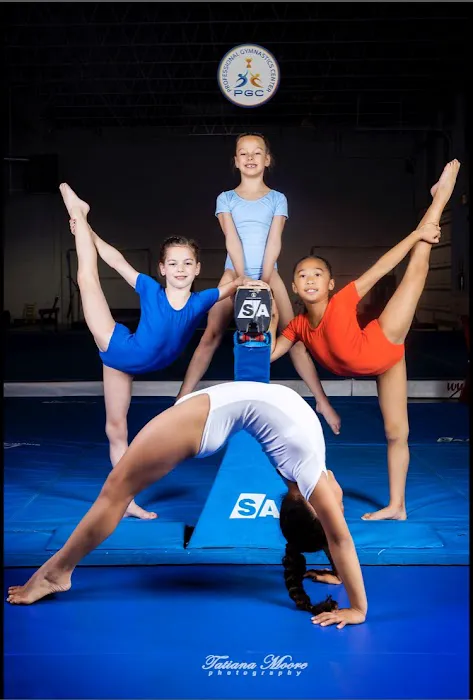 Professional Gymnastics Center Picture 8