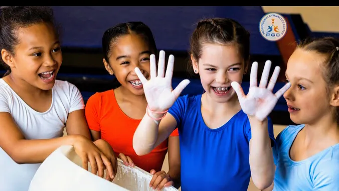 Professional Gymnastics Center Picture 10