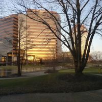 Hamilton Lakes Athletic Club ico