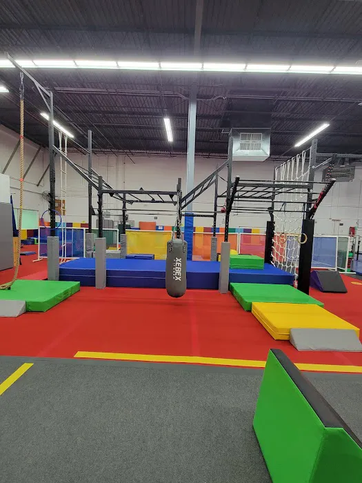 Gym Stars ETC Picture 1