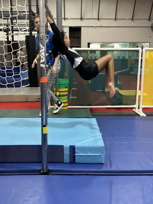 Gym Stars ETC Picture 8