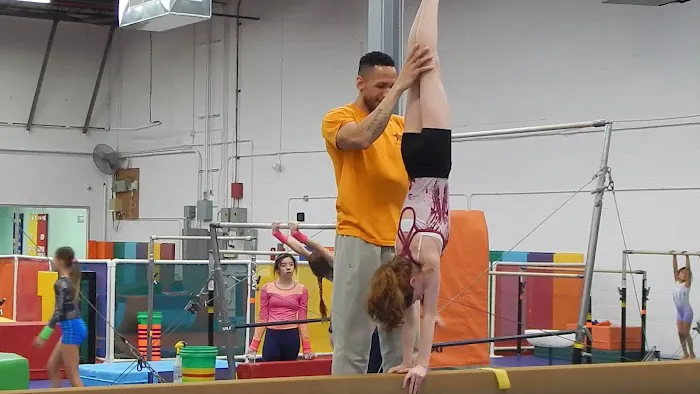 Gym Stars ETC Picture 7