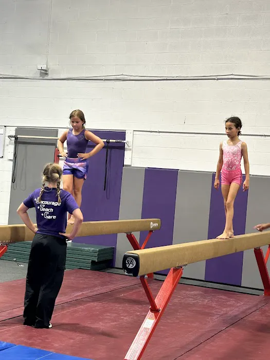 Gym Stars ETC Picture 2