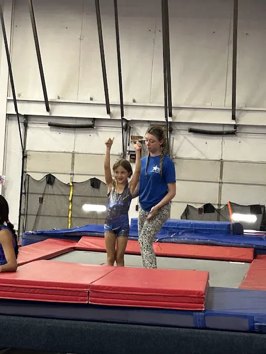 Gym Stars ETC Picture 6