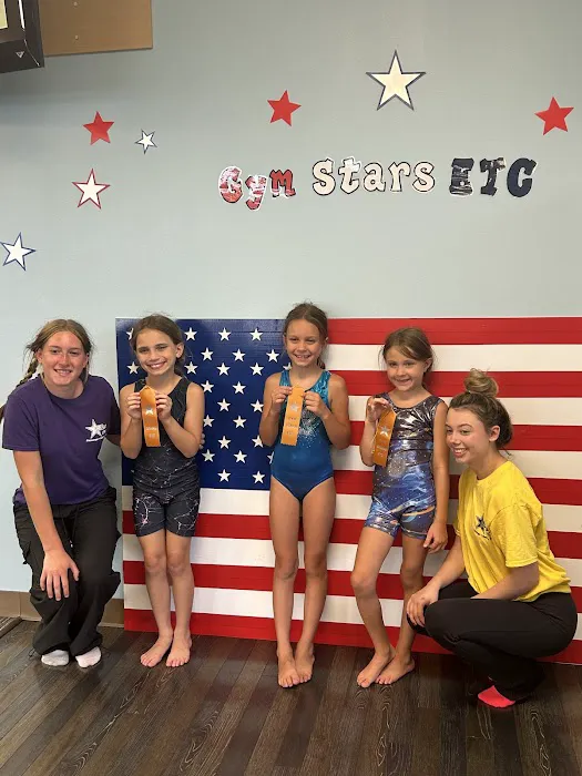 Gym Stars ETC Picture 5