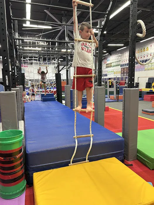 Gym Stars ETC Picture 9