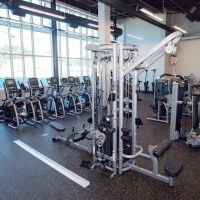 Fox Fitness at Prisco ico