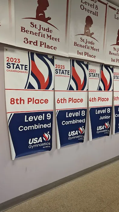 United Gymnastics Academy - Carol Stream Picture 1