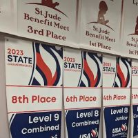 United Gymnastics Academy - Carol Stream ico