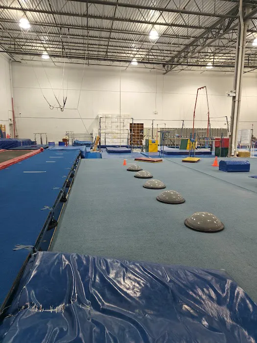United Gymnastics Academy - Carol Stream Picture 4