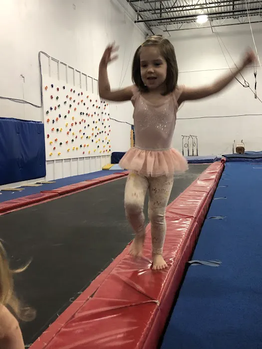 United Gymnastics Academy - Carol Stream Picture 10