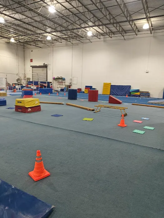 United Gymnastics Academy - Carol Stream Picture 3