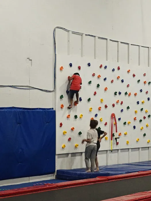 United Gymnastics Academy - Carol Stream Picture 9