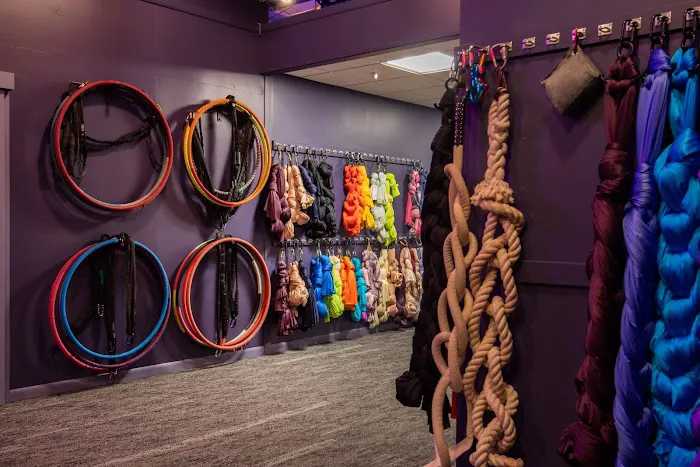 Misfit Aerial, LLC Picture 6