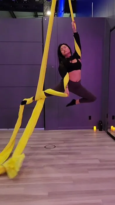 Misfit Aerial, LLC Picture 5