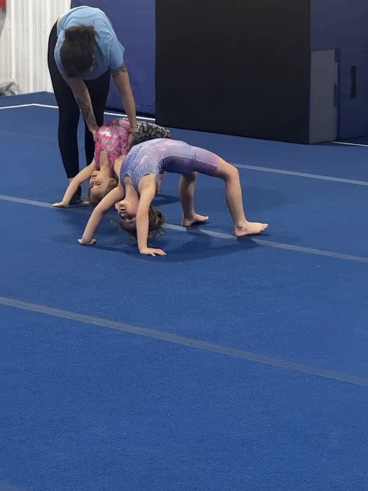 Tier One Gymnastics & Activity Center Picture 6