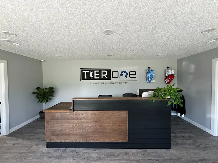 Tier One Gymnastics & Activity Center Picture 4