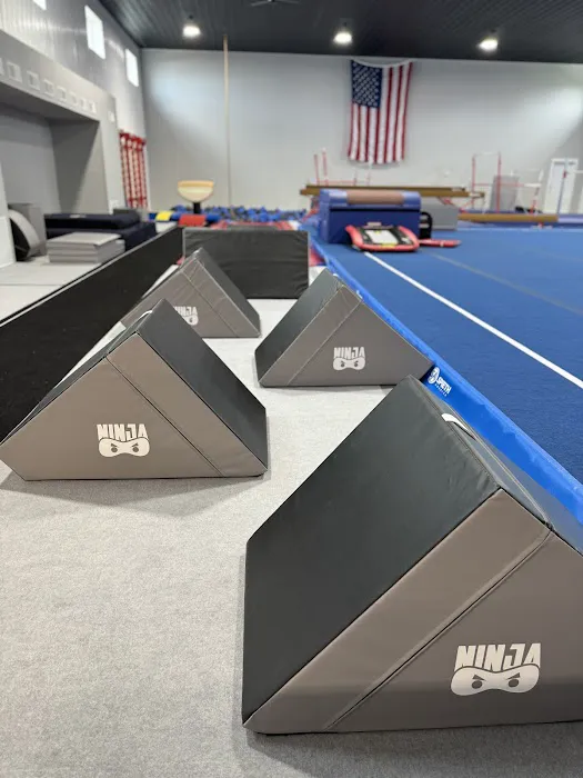 Tier One Gymnastics & Activity Center Picture 3