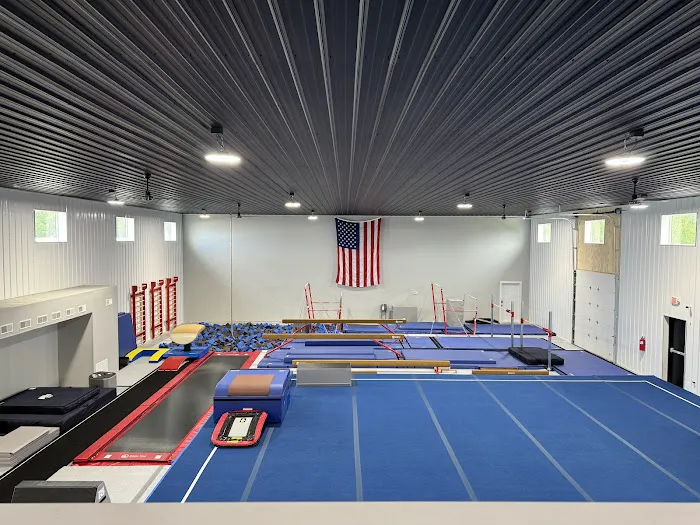 Tier One Gymnastics & Activity Center Picture 9