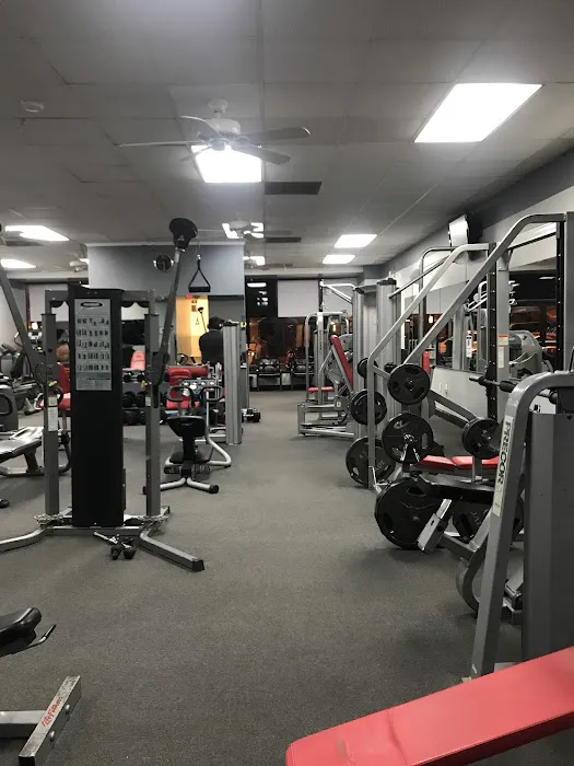 The Fitness Factory Picture 4