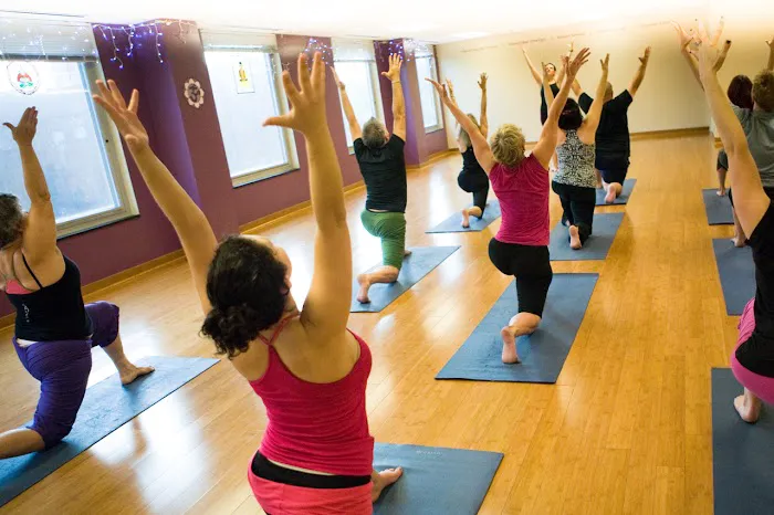 Willow Street Yoga Picture 4