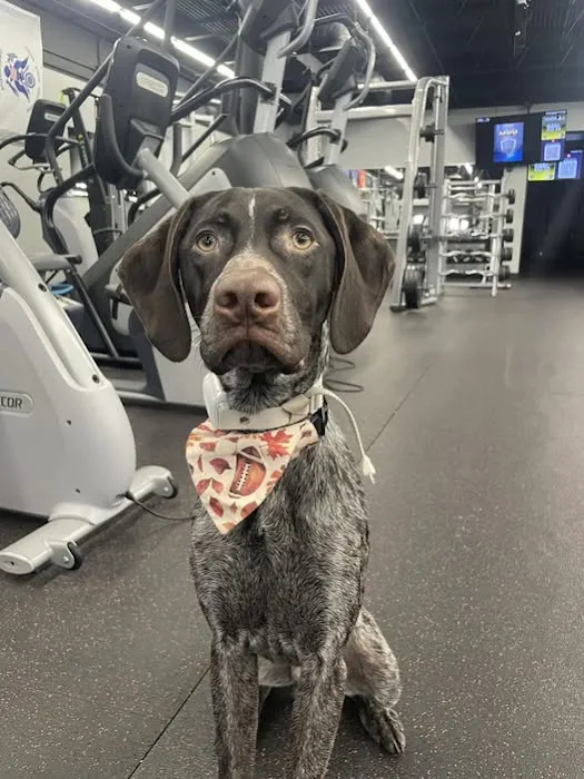 The EPOC Experience Highland Picture 7