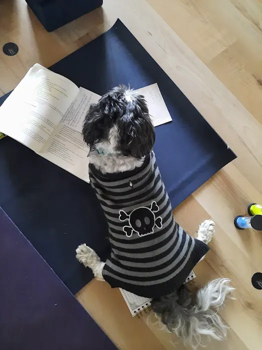 Humble Heart Yoga Studio Picture 1