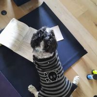 Humble Heart Yoga Studio ico