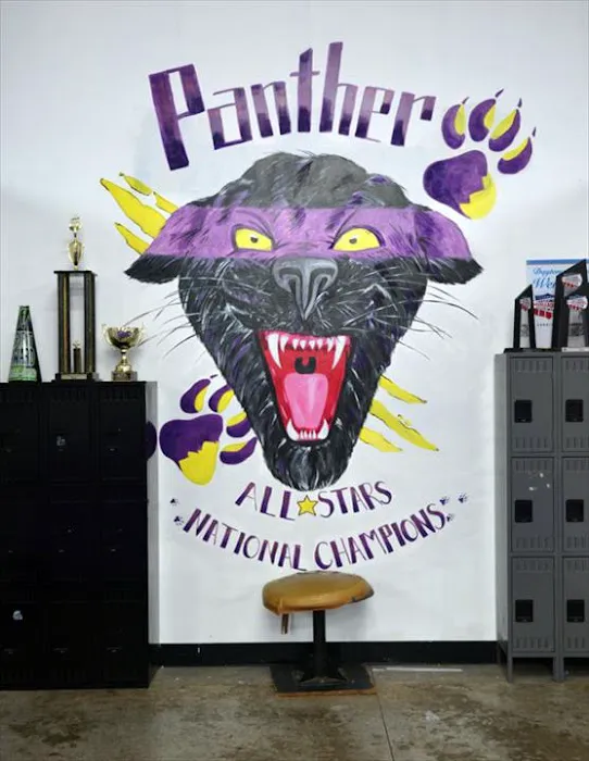 Clarksville Cheer Extreme Picture 9