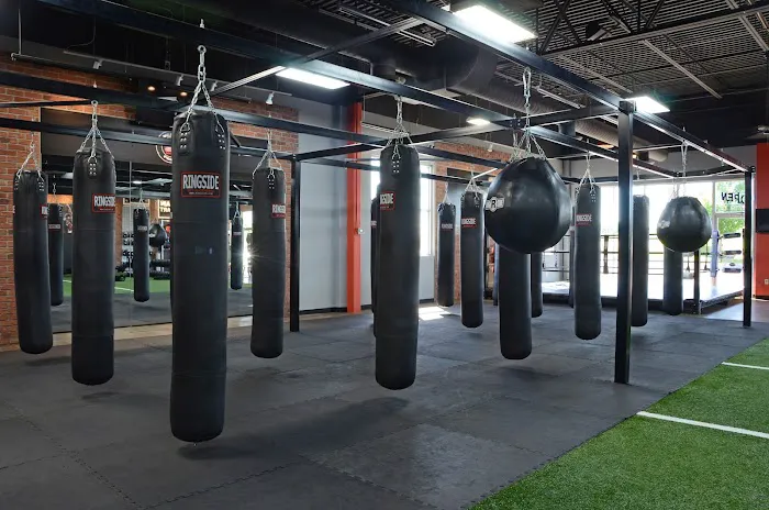 American Pride Boxing Picture 3