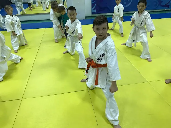 KYOKUSHINKAI KARATE VIRGINIA Picture 8