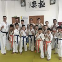 KYOKUSHINKAI KARATE VIRGINIA ico