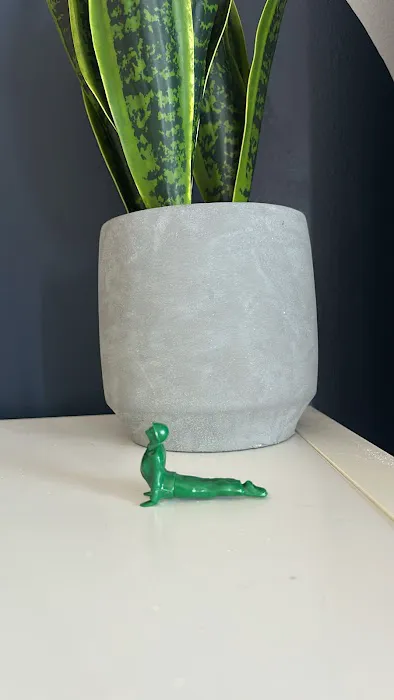 Root to Rise Hot Yoga Picture 1