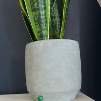 Root to Rise Hot Yoga ico