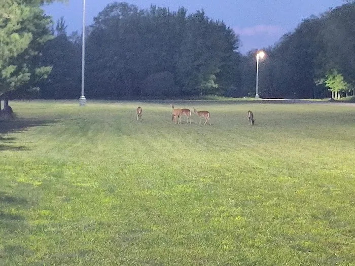 Camp Grayling PT FIELD Picture 2