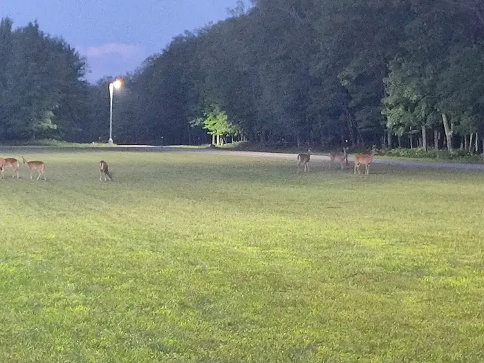 Camp Grayling PT FIELD Picture 1