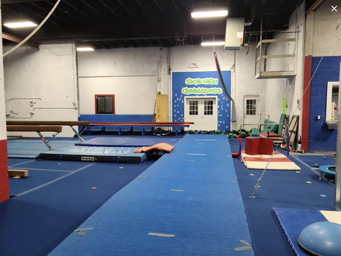Skye High Gymnastics Center Picture 2