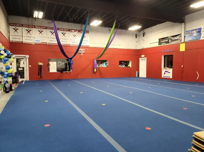 Skye High Gymnastics Center Picture 5
