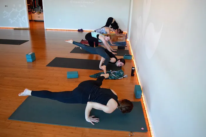 Inner Power Yoga Picture 6