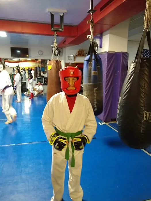 Chicago Fitness Center Picture 4