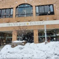 The Peace School ico