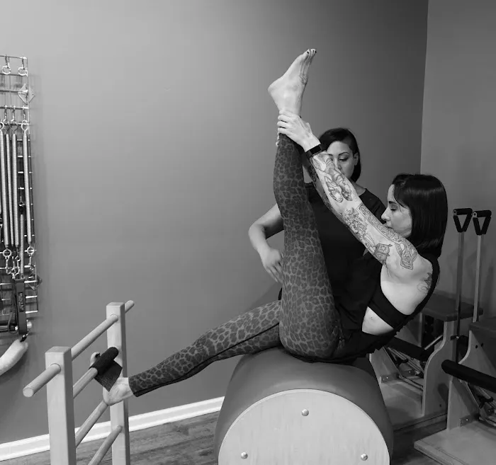 Pilates Artistry Training & Education Picture 7