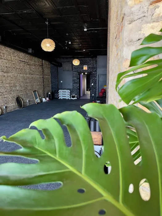 Bodi Shak Picture 10