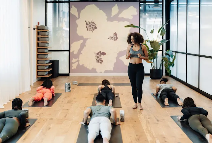 The Collective Yoga Co-op Picture 3