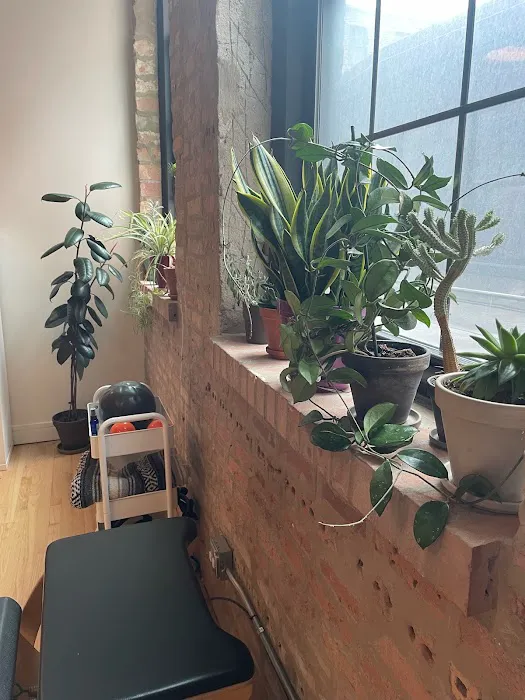 Pilates in Mind Picture 4