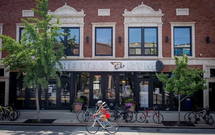 Cheetah Gym Picture 2