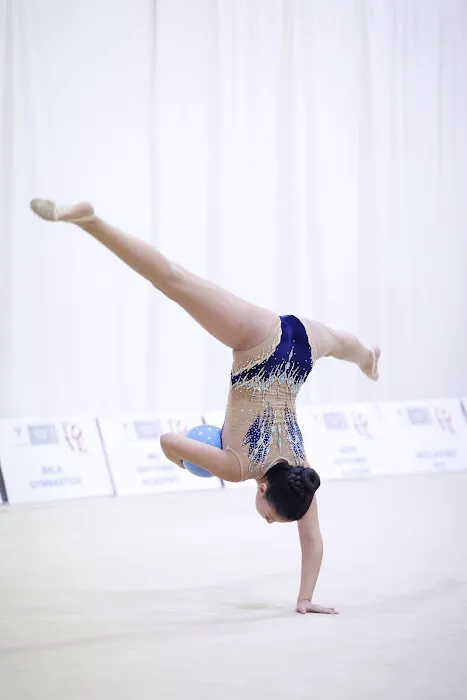 Prestige Rhythmic Gymnastics Academy Picture 1