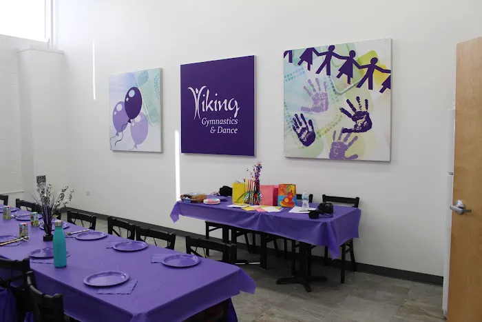 Viking Gymnastics & Dance Picture 5