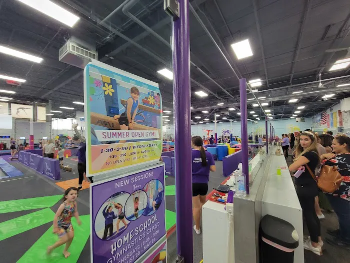 Viking Gymnastics & Dance Picture 2