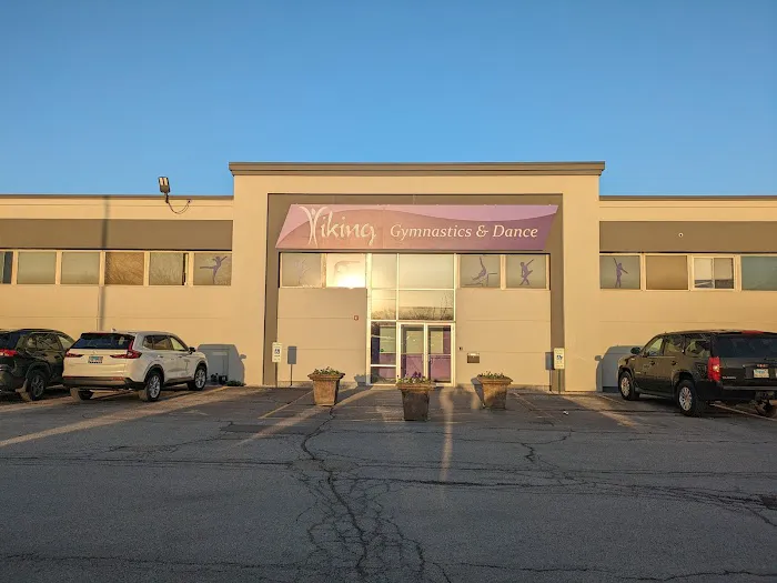 Viking Gymnastics & Dance Picture 3